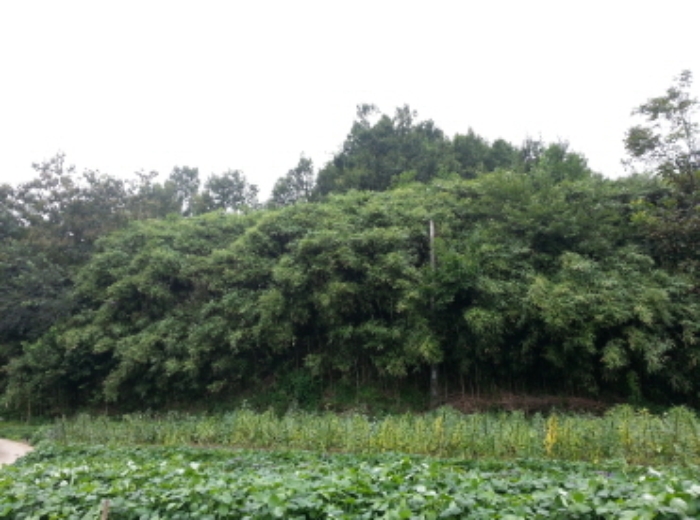 대구서부지원 2015타경30845-1 사진