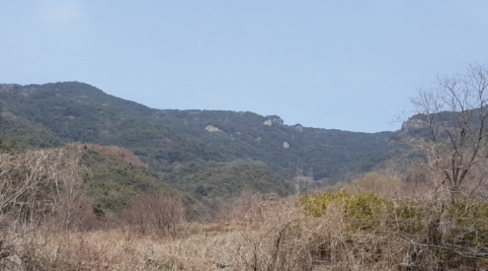 대구서부지원 2017타경1728-1 사진