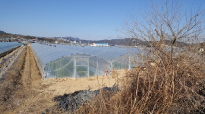 대구서부지원 2017타경8620-1 사진