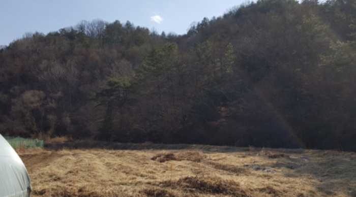 대구서부지원 2018타경30235-1 사진