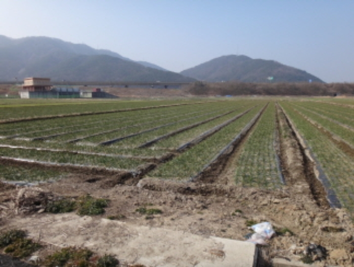 대구서부지원 2019타경8037-1 사진