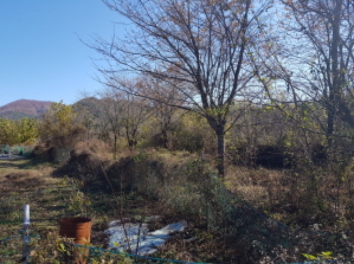 대구서부지원 2019타경36445-1 사진