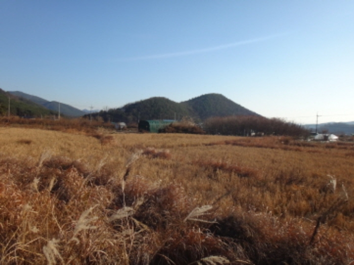 대구서부지원 2020타경4260-1 사진