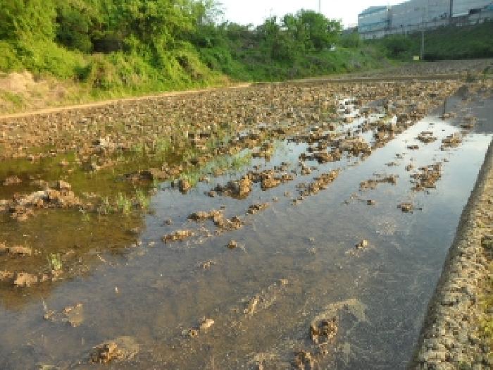 대구서부지원 2025타경31229-1 사진