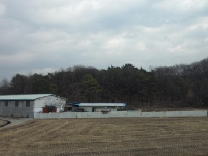 대구서부지원 2025타경32052-1 사진
