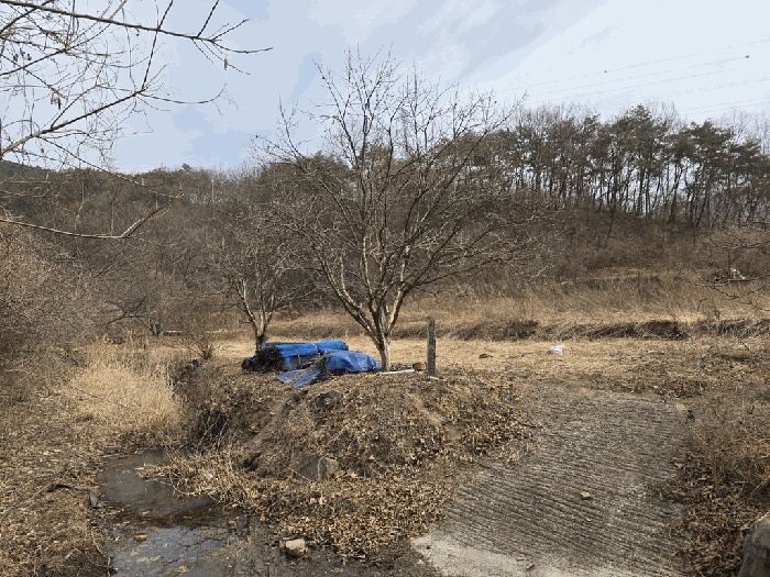 대구서부지원 2026타경3178-1 사진