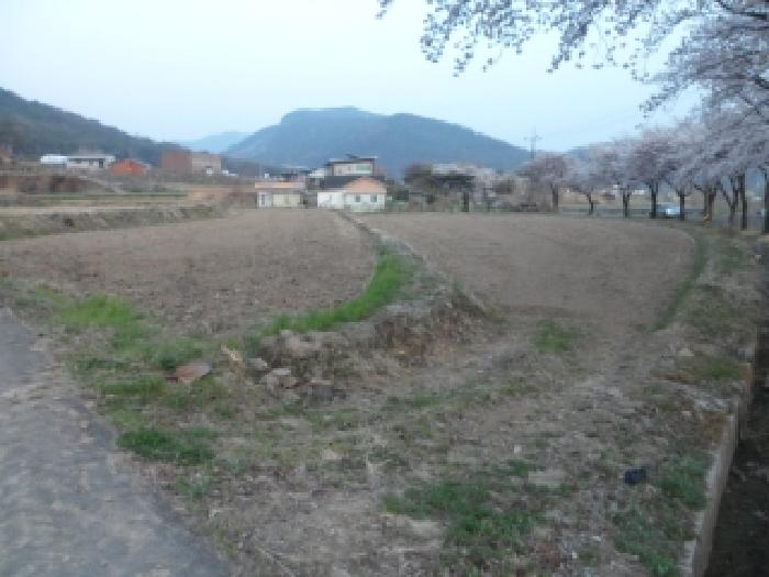 대구서부지원 2026타경3276-3 사진
