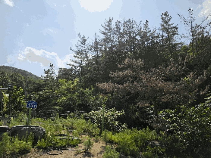 대구서부지원 2026타경3927-1 사진