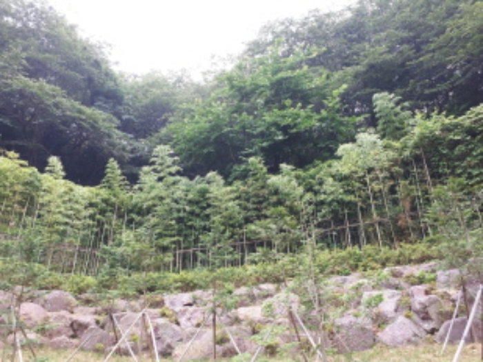 부산지법 2017타경6725-1 사진