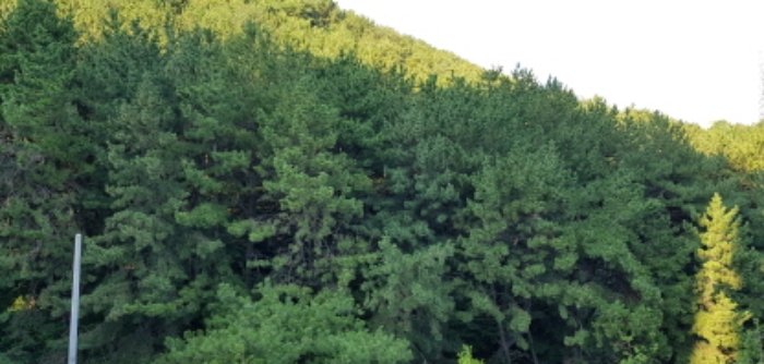 부산지법 2019타경7074-1 사진