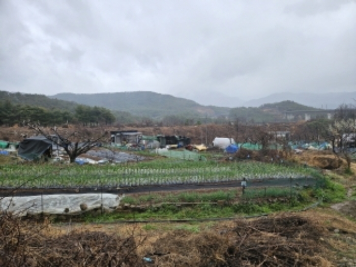 부산지법 2024타경52283-1 사진