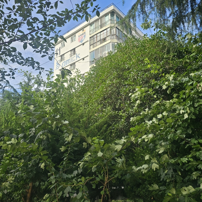 부산지법 2024타경59475-1 사진
