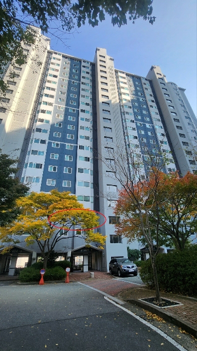 부산지법 2024타경64293-1 사진