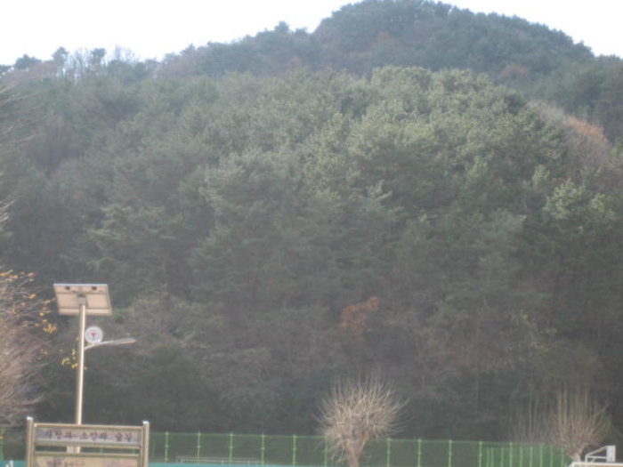 부산동부지원 2015타경101042-1 사진