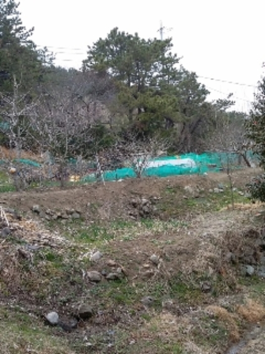 부산동부지원 2019타경918-1 사진