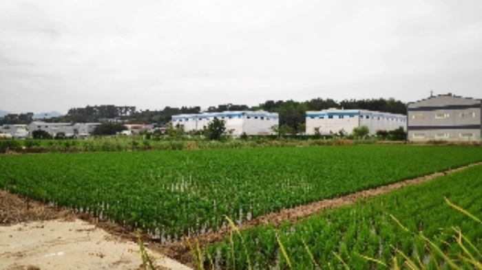 부산서부지원 2019타경4695-1 사진