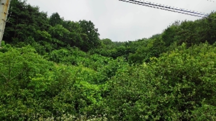 부산서부지원 2019타경4893-2 사진