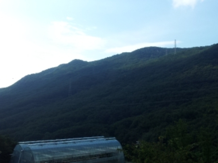 부산서부지원 2019타경6301-2 사진