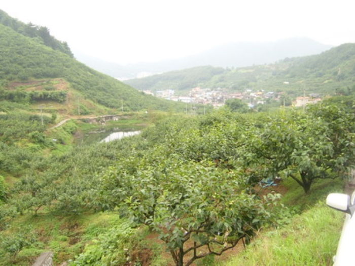 창원지법 2012타경8631-2 사진