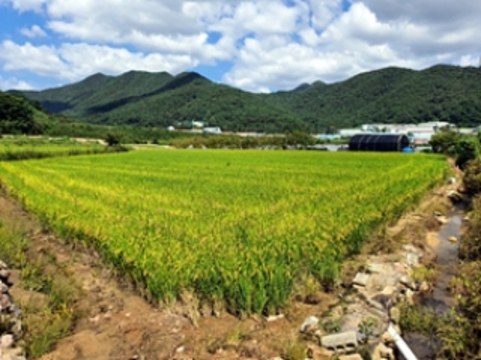 창원지법 2021타경108540-1 사진