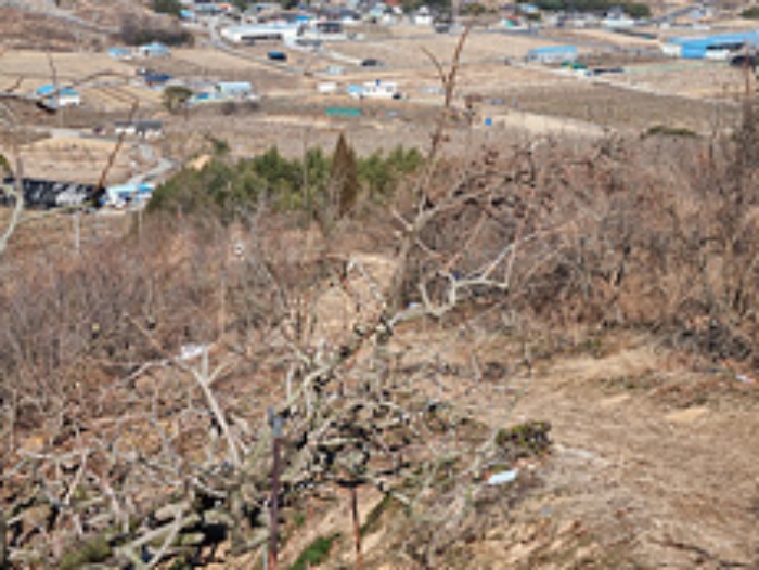 창원지법 2022타경629-1 사진