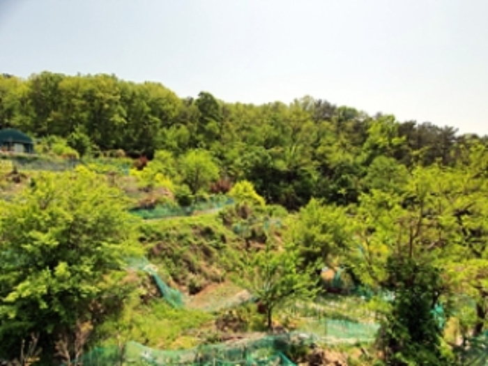 창원지법 2022타경2199-3 사진