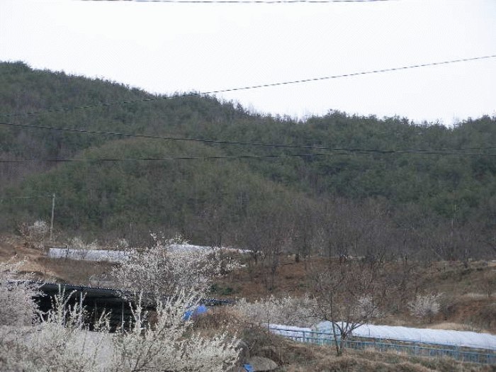 진주지원 2008타경2103-6 사진