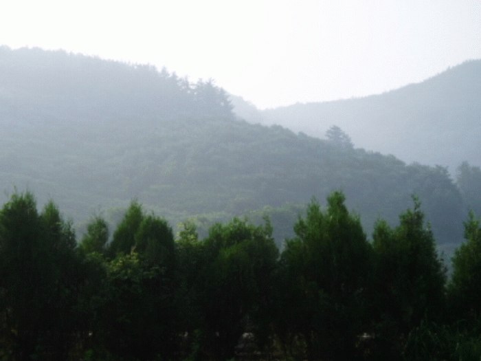 진주지원 2008타경5621-1 사진