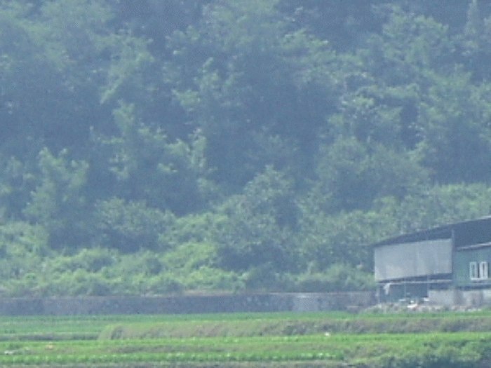 진주지원 2008타경8668-1 사진