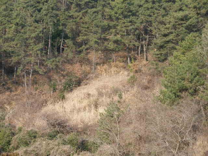 진주지원 2009타경883-3 사진