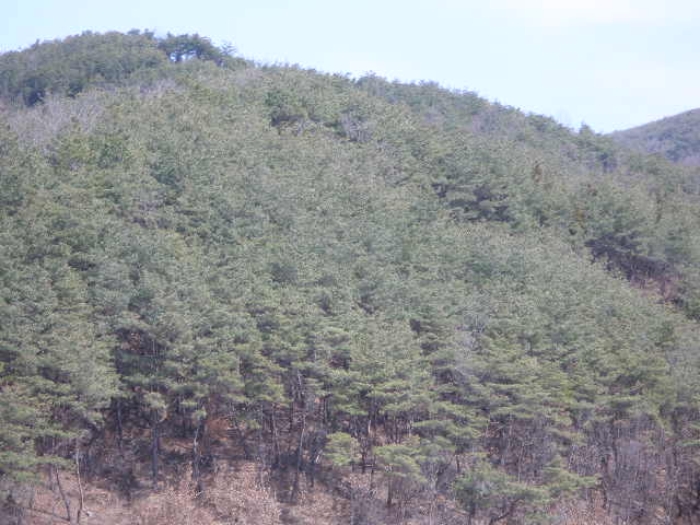 진주지원 2009타경3493-1 사진