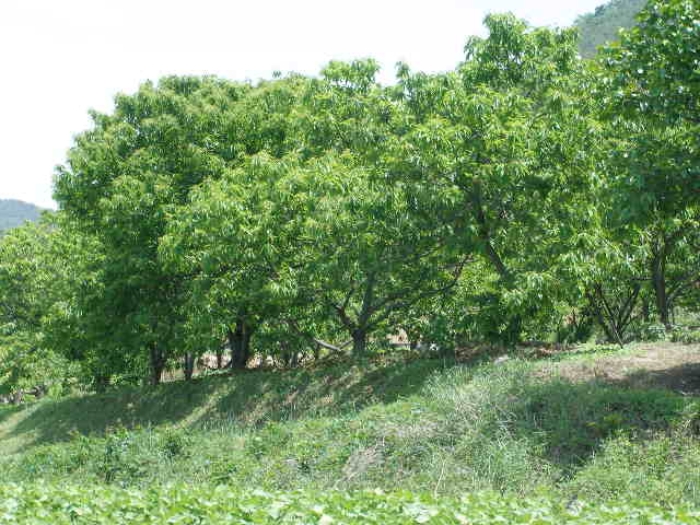 진주지원 2009타경6331-1 사진