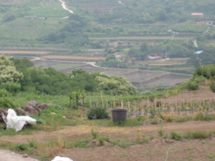 진주지원 2009타경7280-3 사진