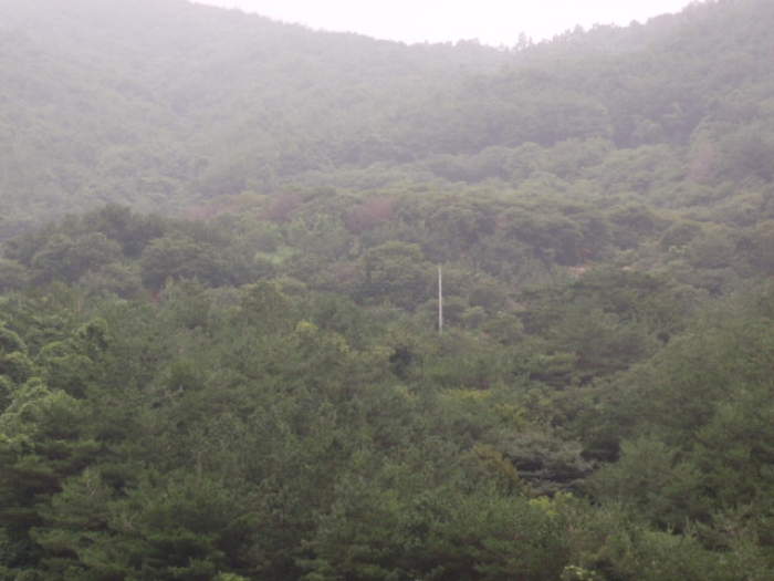 진주지원 2009타경9842-2 사진