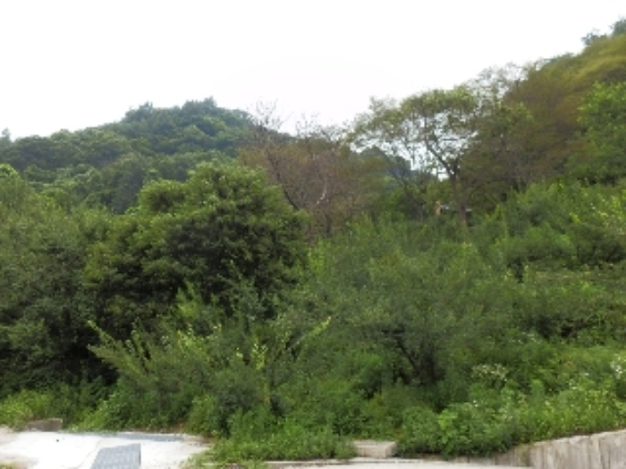 진주지원 2014타경7314-4 사진