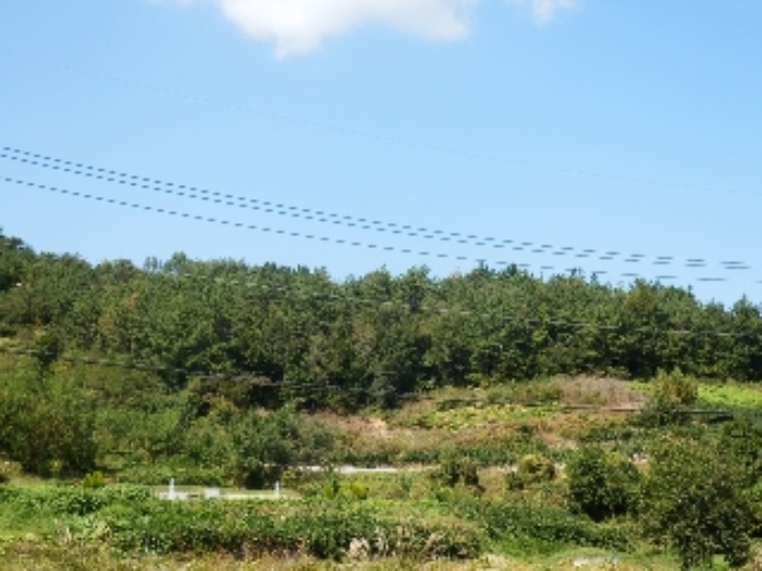 진주지원 2014타경10532-3 사진