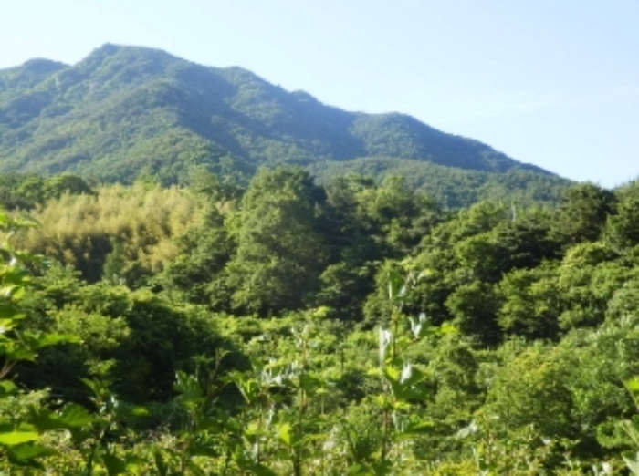 진주지원 2015타경4473-1 사진