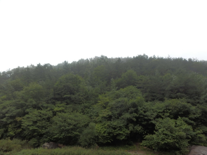 진주지원 2015타경5896-1 사진
