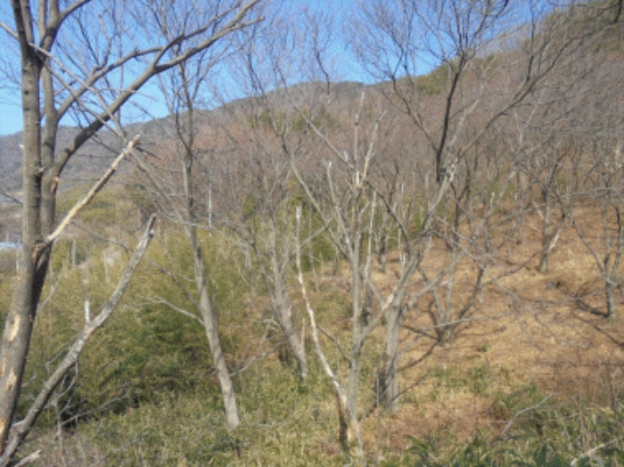 진주지원 2018타경1741-1 사진