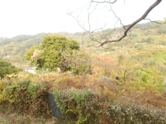 진주지원 2018타경5842-1 사진