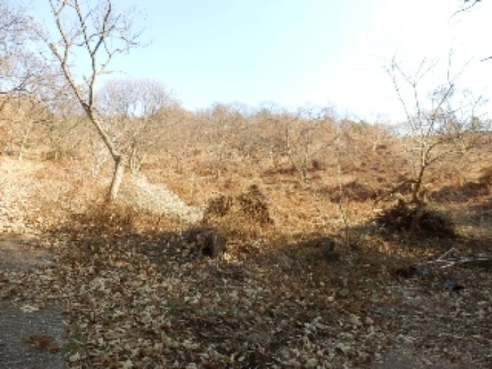 진주지원 2018타경7817-1 사진