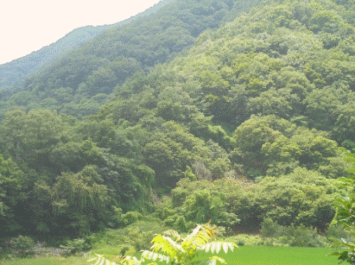 진주지원 2019타경4686-1 사진