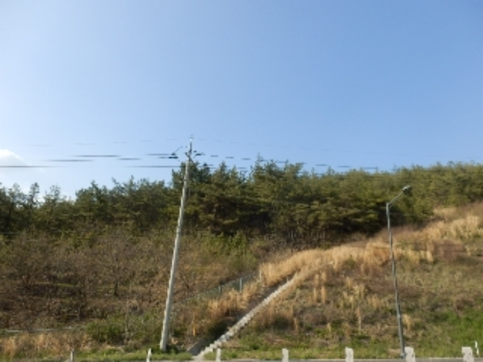 진주지원 2019타경31084-1 사진