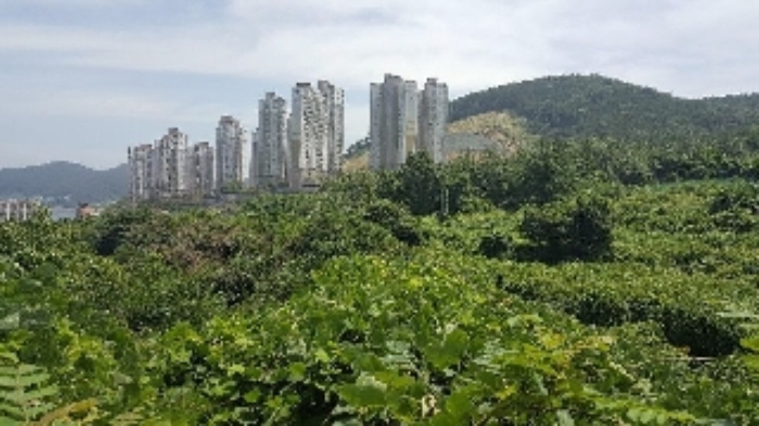 통영지원 2018타경5968-1 사진
