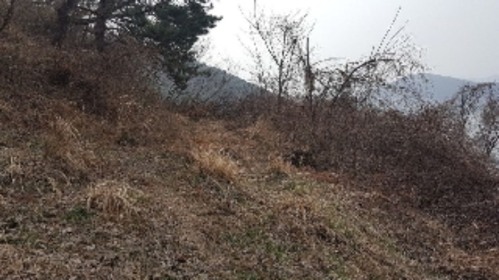 통영지원 2019타경2263-1 사진