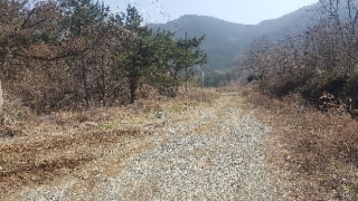 통영지원 2019타경2690-1 사진