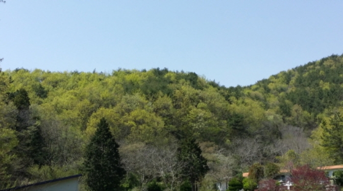 통영지원 2019타경3884-2 사진