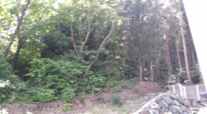 통영지원 2019타경6210-2 사진