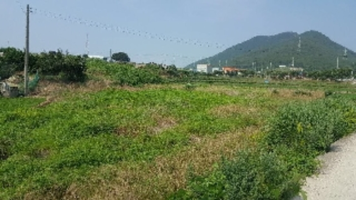 통영지원 2019타경8100-1 사진