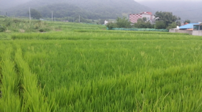 통영지원 2019타경9455-1 사진